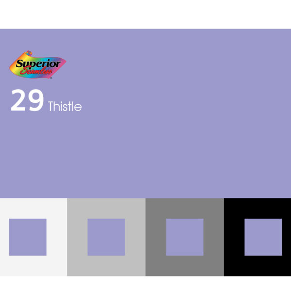 29 - Thistle