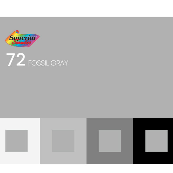 72 - Fossil Gray